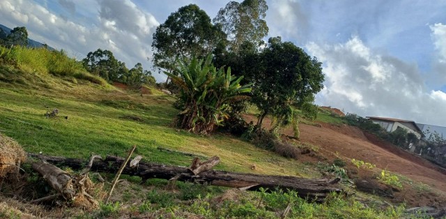 Chácara à venda em poços de caldas - Foto 1