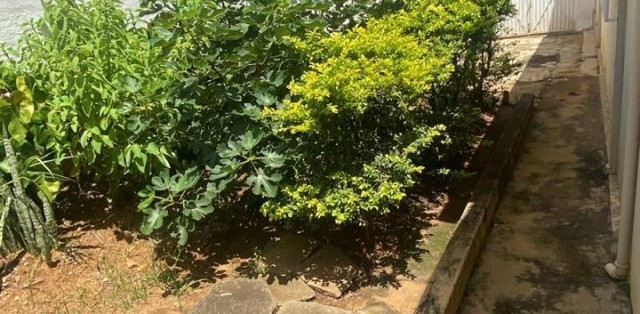 Rua coronel eduarda amaral, centro, n 461 - Foto 5